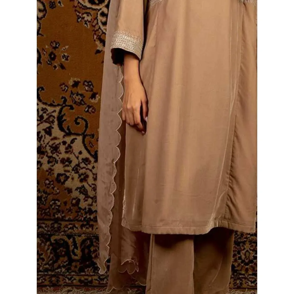 Priya Chaudhary Light Brown Organza Dupatta